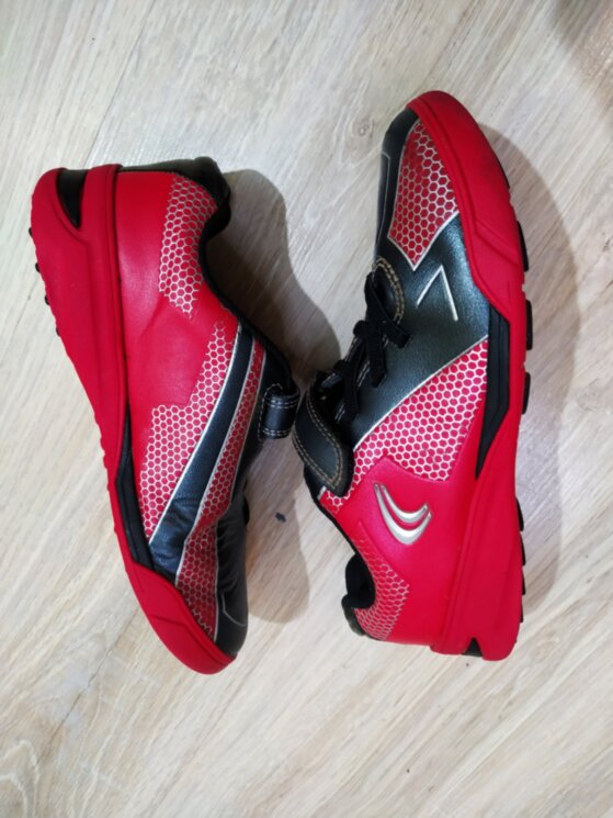 Сороконіжки ( 30р стопа 20см ) 0250в