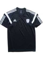 Футболка "Кардіфф Сіті" ( 2XL ) 1175с