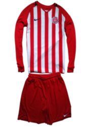 Форма футбольна Nike ( S ) 2224с