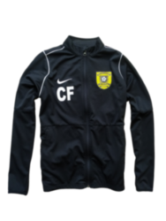 Кофта спортивна Nike (13-14 років) 1467с